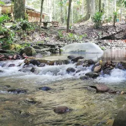 Hutan Lipur Sungai Congkak - Bangi
