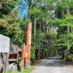 Hutan Lipur Sungai Congkak - Bangi