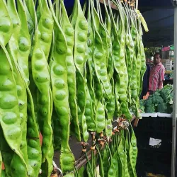 Pasar Malam Bangi (Bangi Night Market) - Bangi