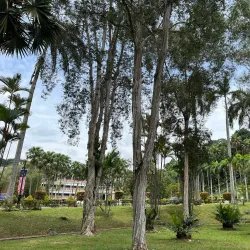 UKM Museum and Gallery - Bangi