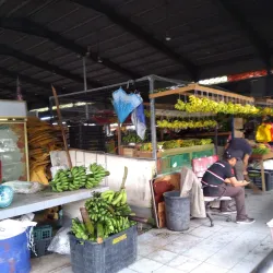 Banting Wet Market - Banting
