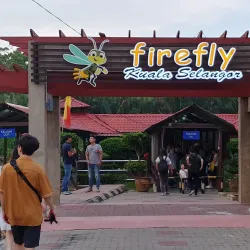 Kuala Langat Firefly Park - Banting