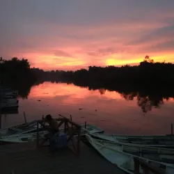 Kuala Langat Firefly Park - Banting