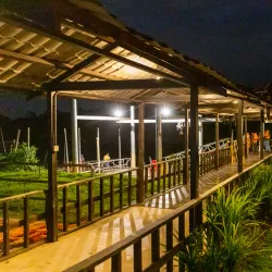 Kuala Langat Firefly Park - Banting