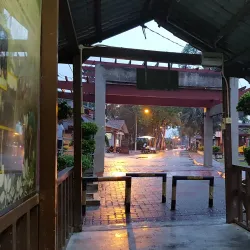 Kuala Langat Firefly Park - Banting