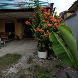 Langat River - Banting