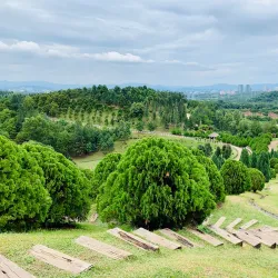 Saujana Hijau Eco Park - Banting