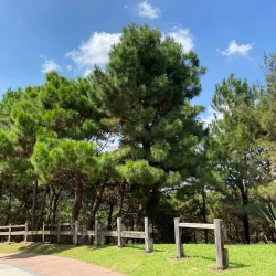 Saujana Hijau Eco Park - Banting