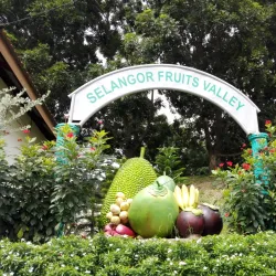 Bestari Jaya Recreational Park - Batang Berjuntai
