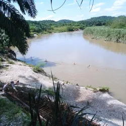 Sungai Selangor River - Batang Berjuntai