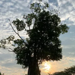 Batu Kawan Recreational Park - Batu Kawan
