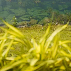 Batu Kawan Recreational Park - Batu Kawan