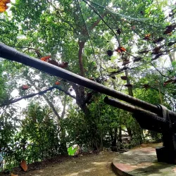 Penang War Museum - Bayan Lepas