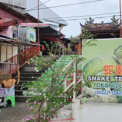 Snake Temple (Sak Tha Temple) - Bayan Lepas