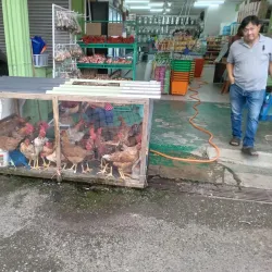 Belaga Wet Market - Belaga