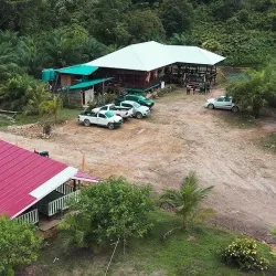 Ulu Belaga Jungle Trekking - Belaga