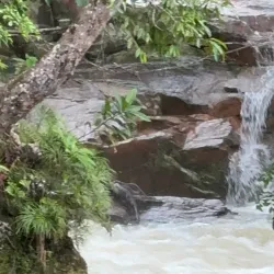 Ulu Belaga Jungle Trekking - Belaga