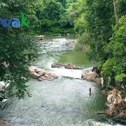 Ulu Belaga Jungle Trekking - Belaga