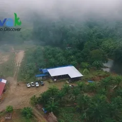 Ulu Belaga Jungle Trekking - Belaga