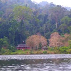 Hala-Bala Wildlife Sanctuary - Betong