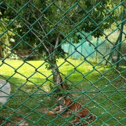 Bintulu Museum - Bintulu