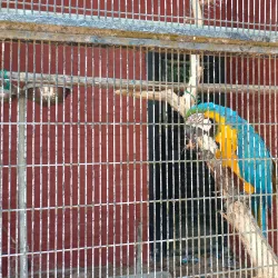 Bintulu Museum - Bintulu