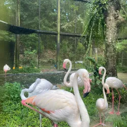 Bintulu Museum - Bintulu