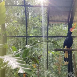 Bintulu Museum - Bintulu