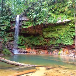 Lambir Hills National Park - Bintulu