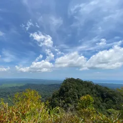 Lambir Hills National Park - Bintulu