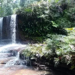 Lambir Hills National Park - Bintulu