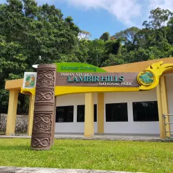 Lambir Hills National Park - Bintulu