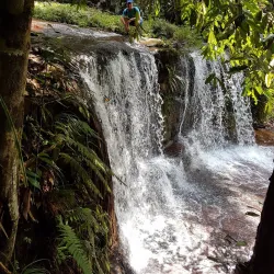 Lambir Hills National Park - Bintulu