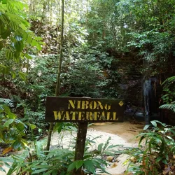 Lambir Hills National Park - Bintulu