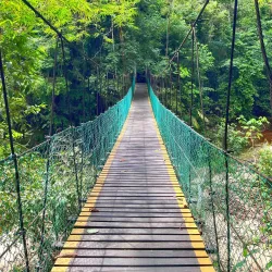Lambir Hills National Park - Bintulu