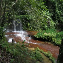 Lambir Hills National Park - Bintulu