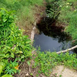 Sebauh Longhouse - Bintulu
