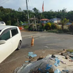 Sebauh Longhouse - Bintulu