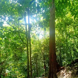 Bukit Mertajam Community Park - Bukit Mertajam