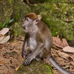 Bukit Mertajam Community Park - Bukit Mertajam