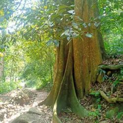 Bukit Mertajam Heritage Trail - Bukit Mertajam