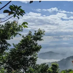 Bukit Mertajam Recreational Forest - Bukit Mertajam