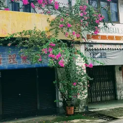 Bukit Mertajam Wet Market - Bukit Mertajam