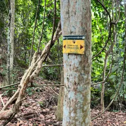 Bukit Mertajam Recreational Forest - Butterworth