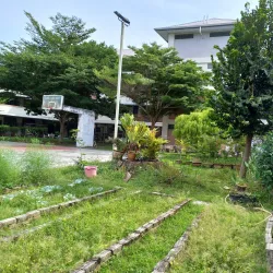 SJK (C) Chong Cheng - Butterworth