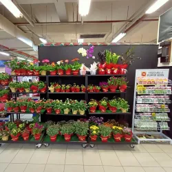 Sunshine Square - Butterworth