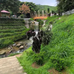 Cameron Bharat Tea Estate - Cameron Highlands