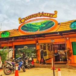 Cameron Bharat Tea Estate - Cameron Highlands