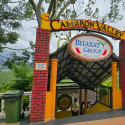 Cameron Bharat Tea Estate - Cameron Highlands