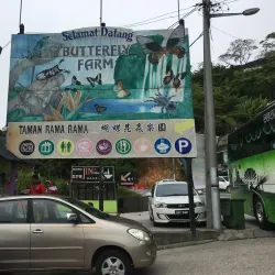 Cameron Butterfly Garden - Cameron Highlands